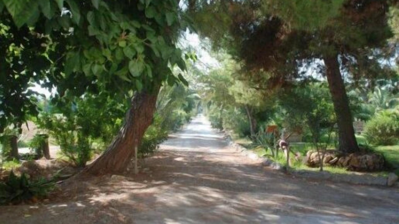 Photo of Outdoor in Punta Milocca