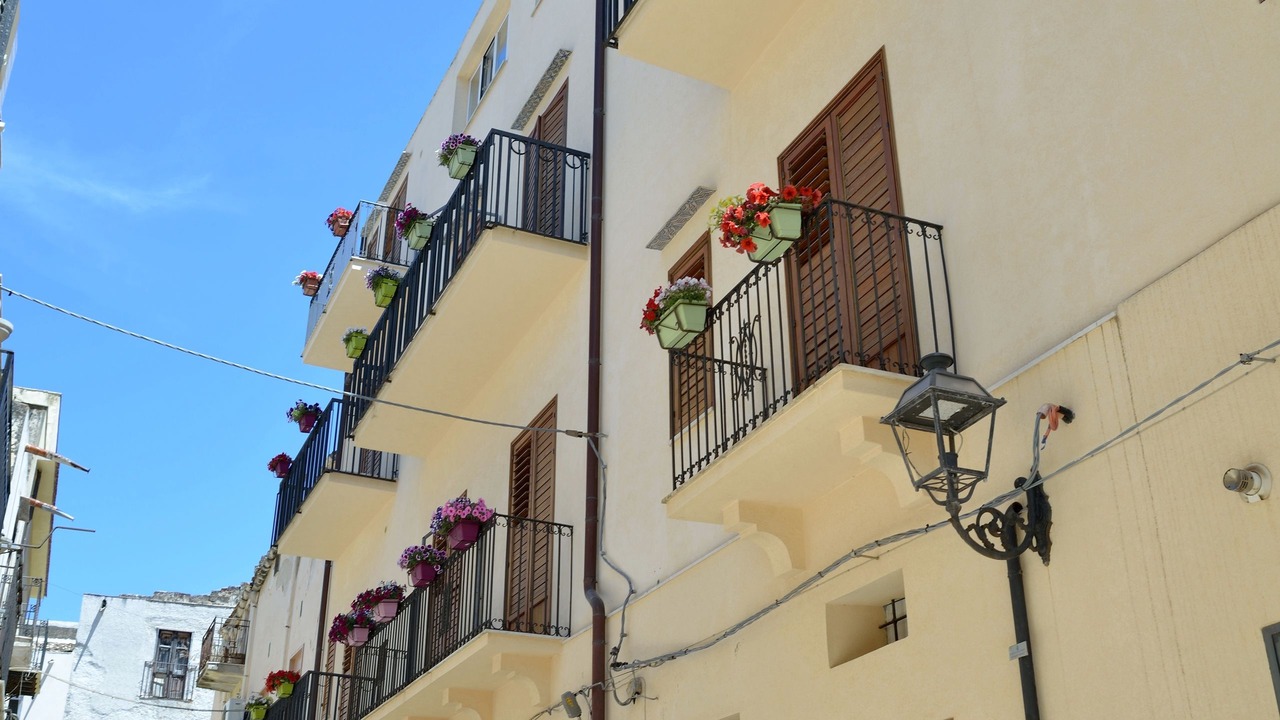 Photo of Outdoor in Castellammare del Golfo