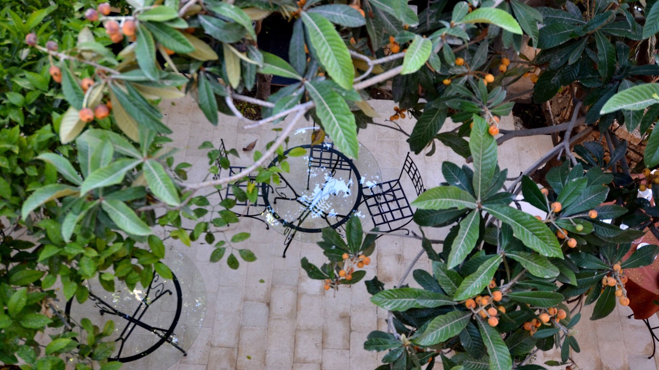Photo of Outdoor in Noto Historic Centre