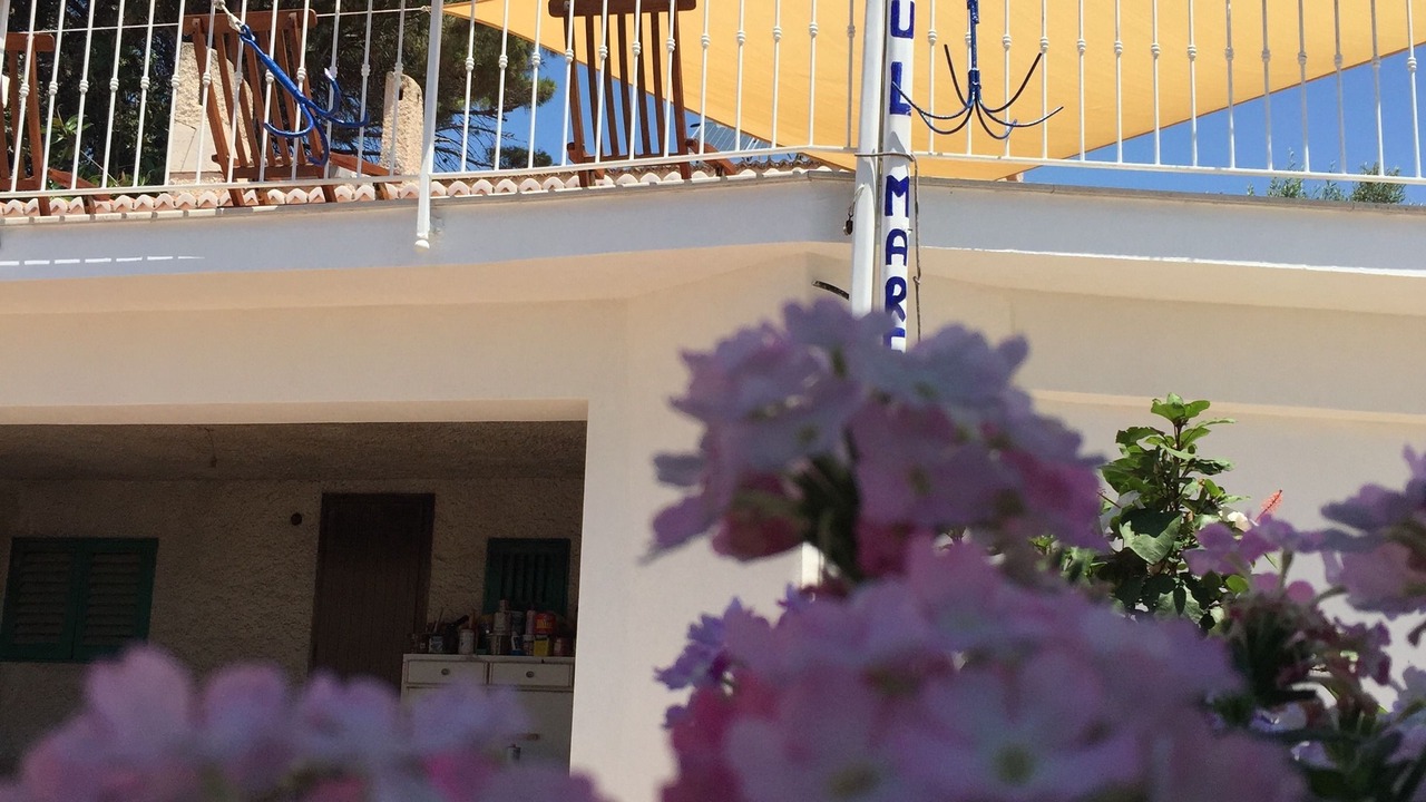 Photo of Others in Porto Salvo
