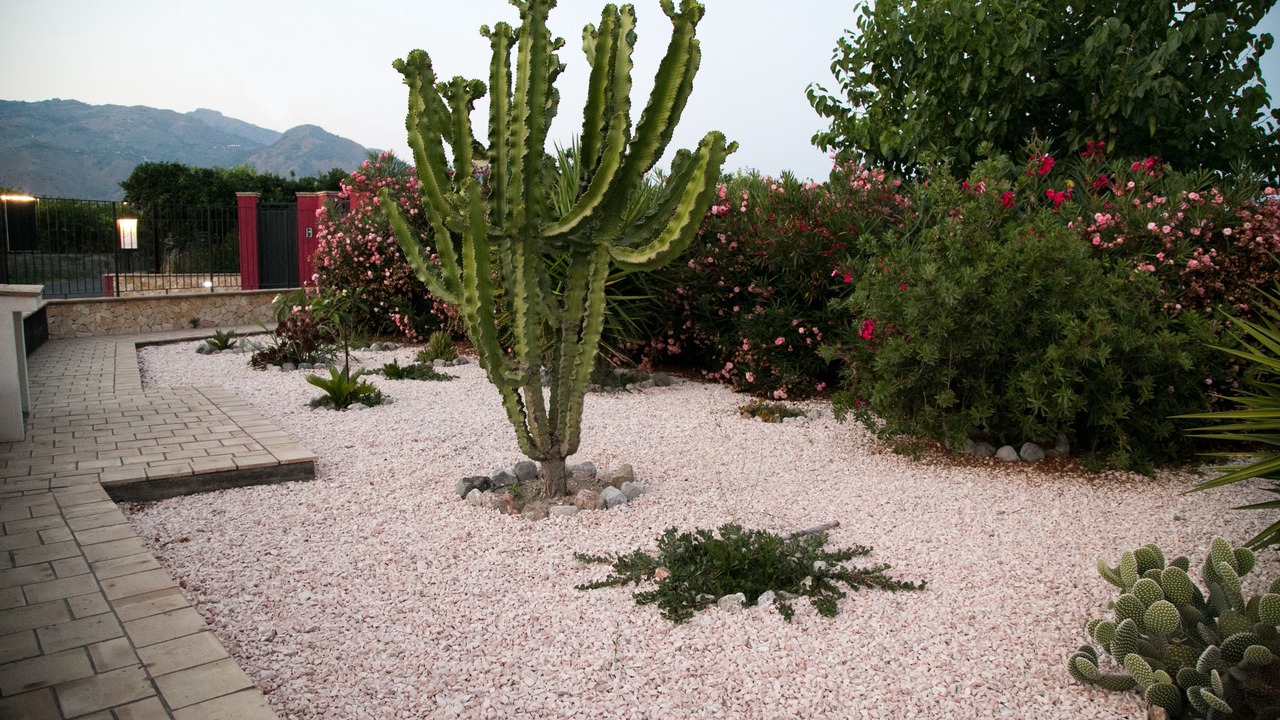 Photo of Outdoor in Trappitello
