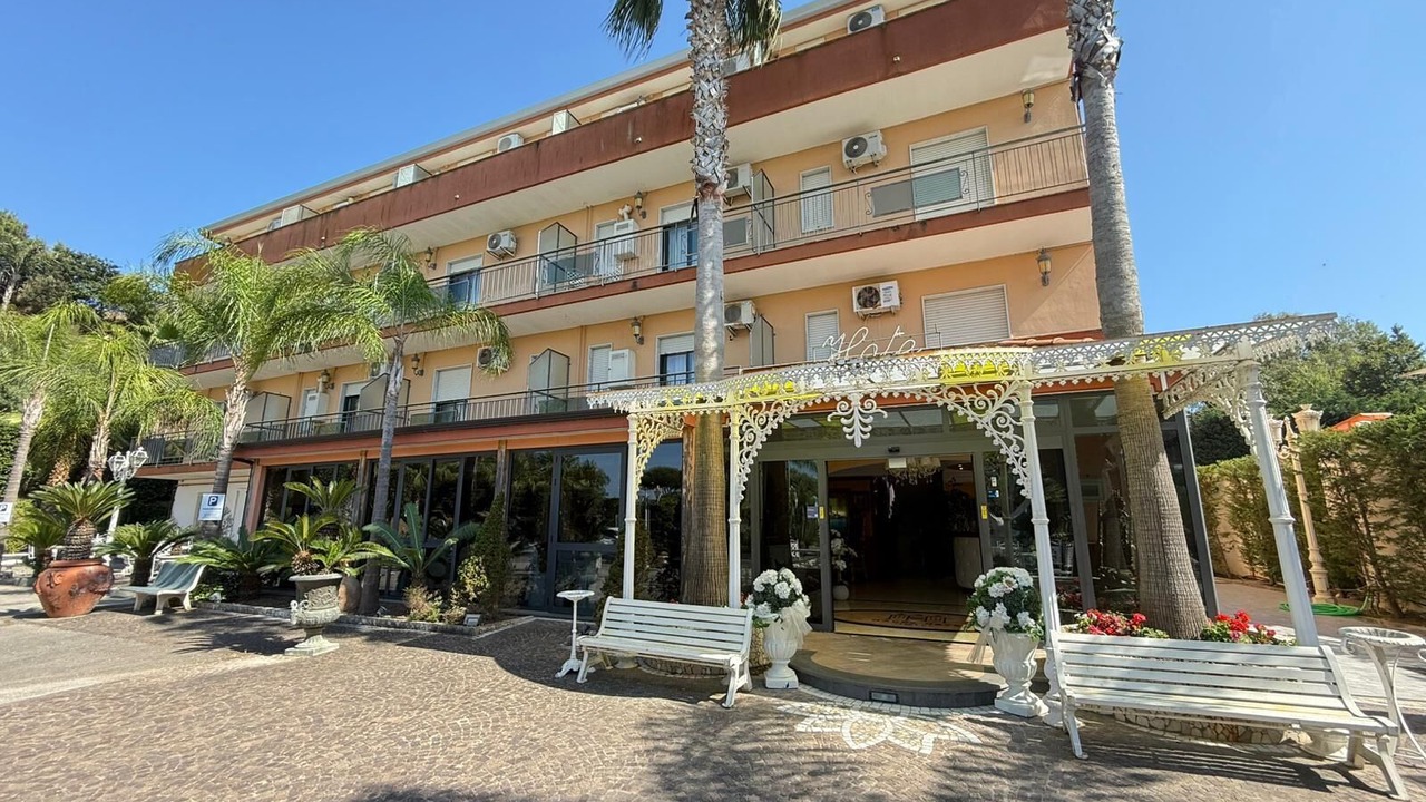 Photo of Outdoor in Licola
