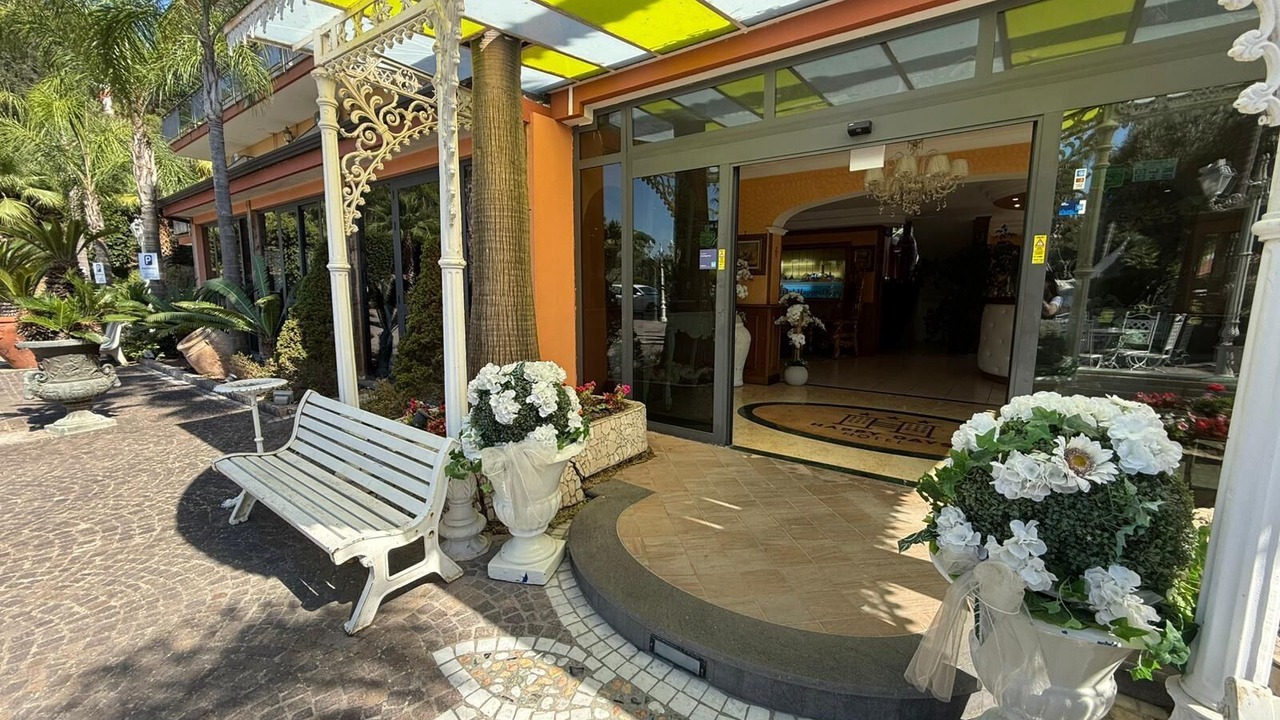 Photo of Outdoor in Licola
