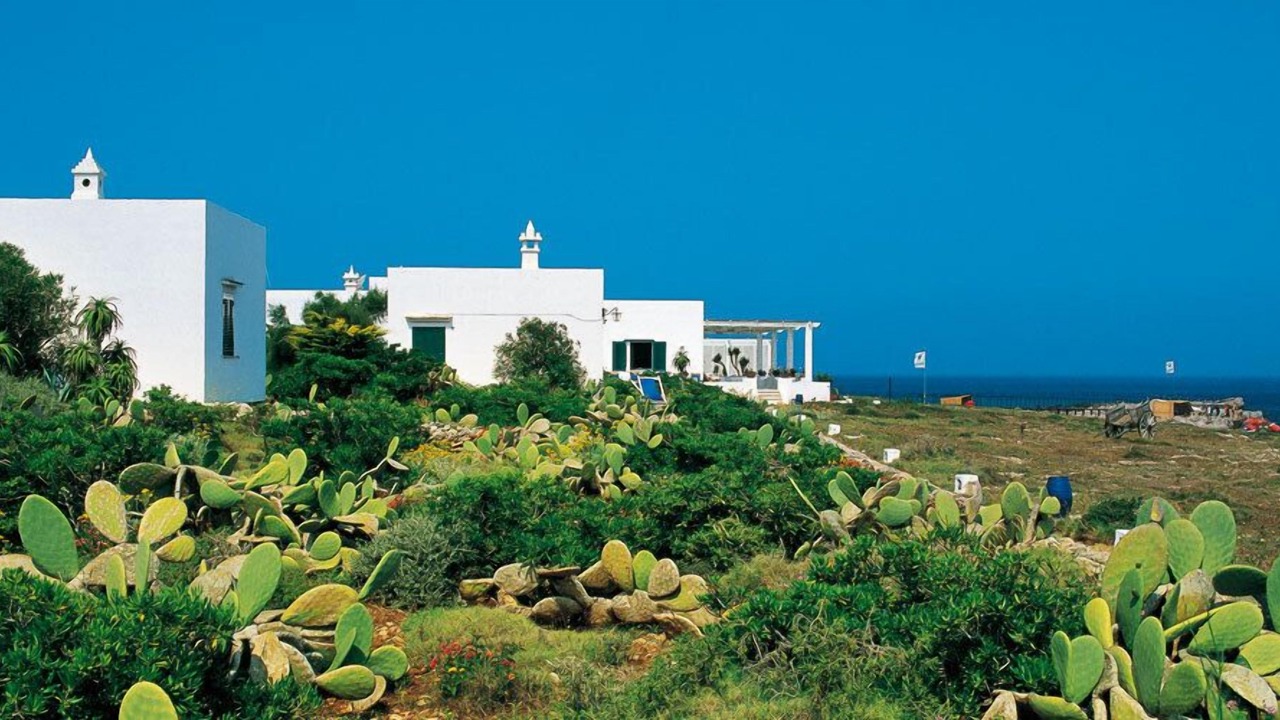 Photo of Outdoor in Favignana