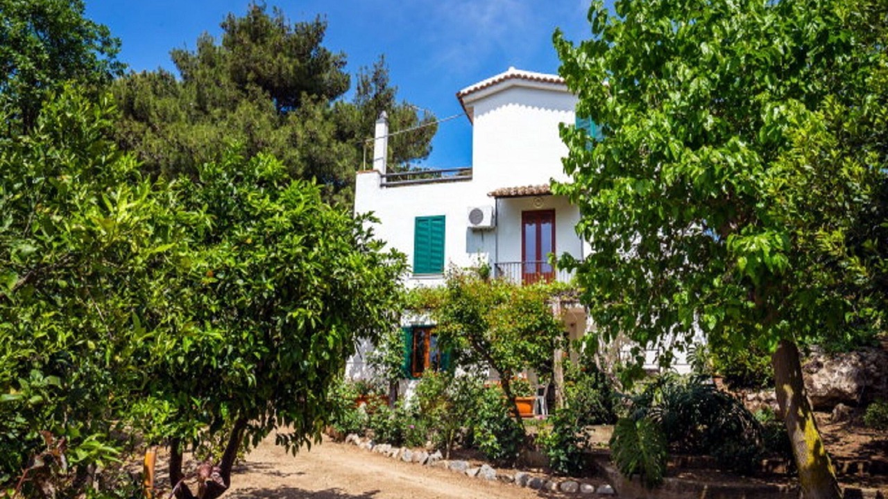 Photo of Outdoor in Santa Domenica