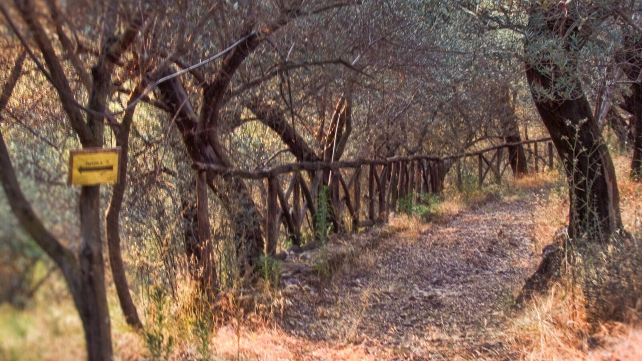 Photo of Outdoor in Gragnano
