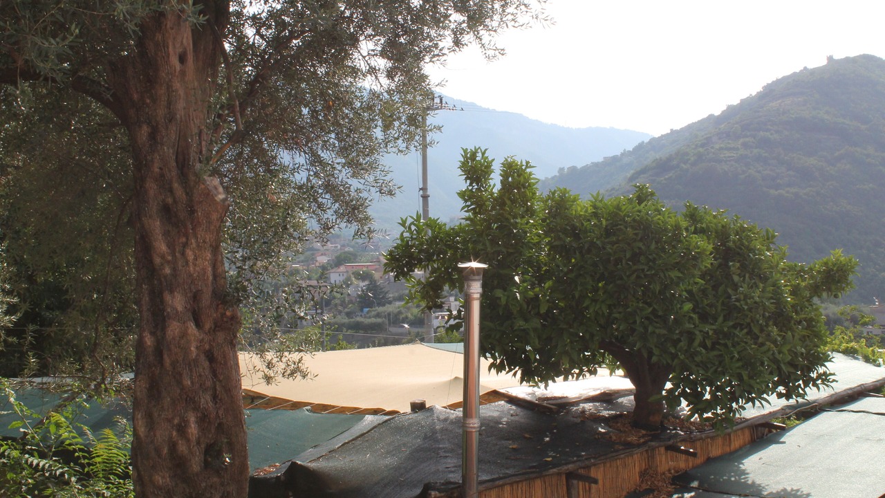 Photo of Outdoor in Gragnano