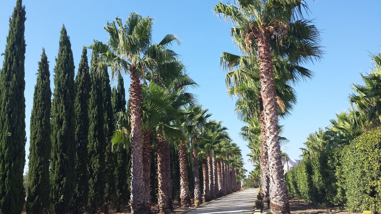 Photo of Outdoor in Marinella di Selinunte