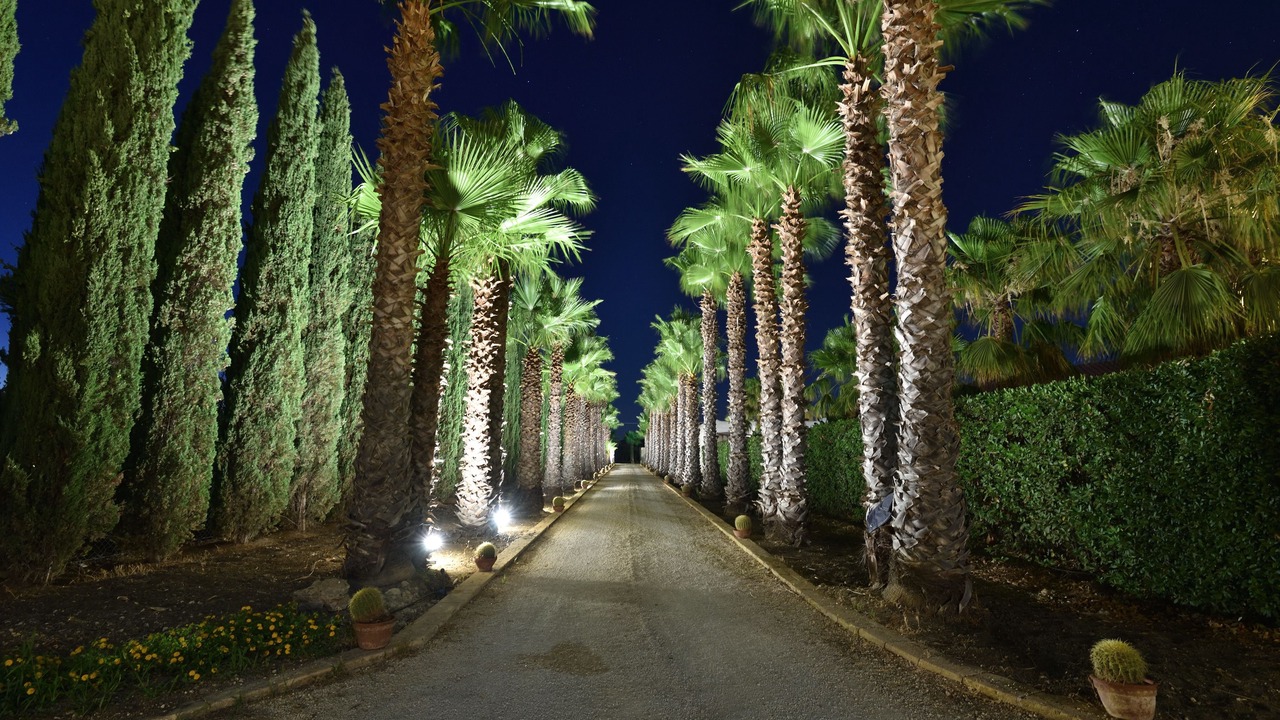 Photo of Outdoor in Marinella di Selinunte