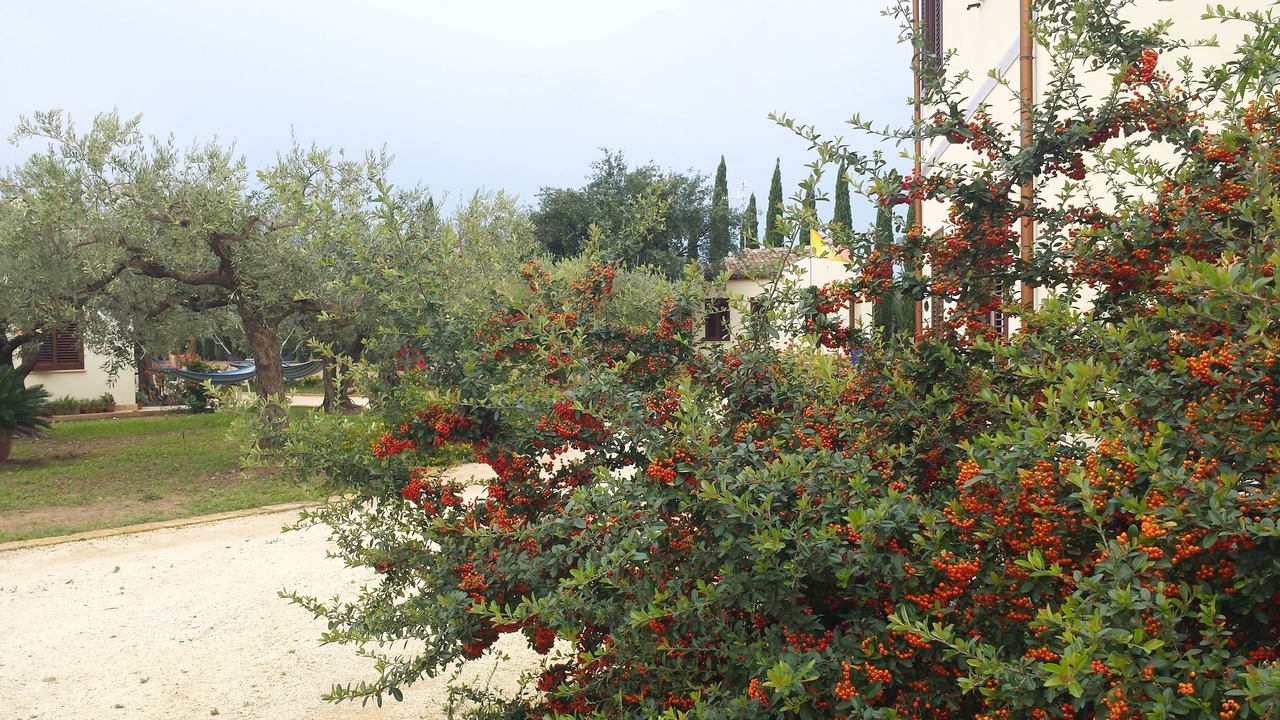 Photo of Outdoor in Marinella di Selinunte