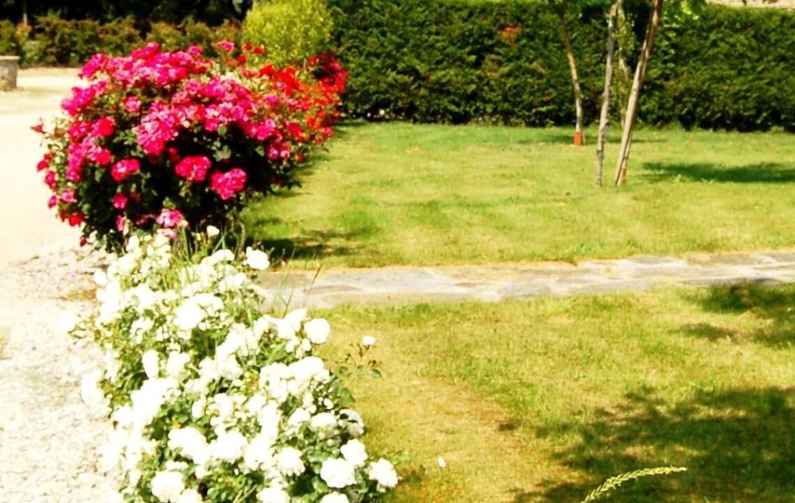 Photo of Outdoor in Bucine