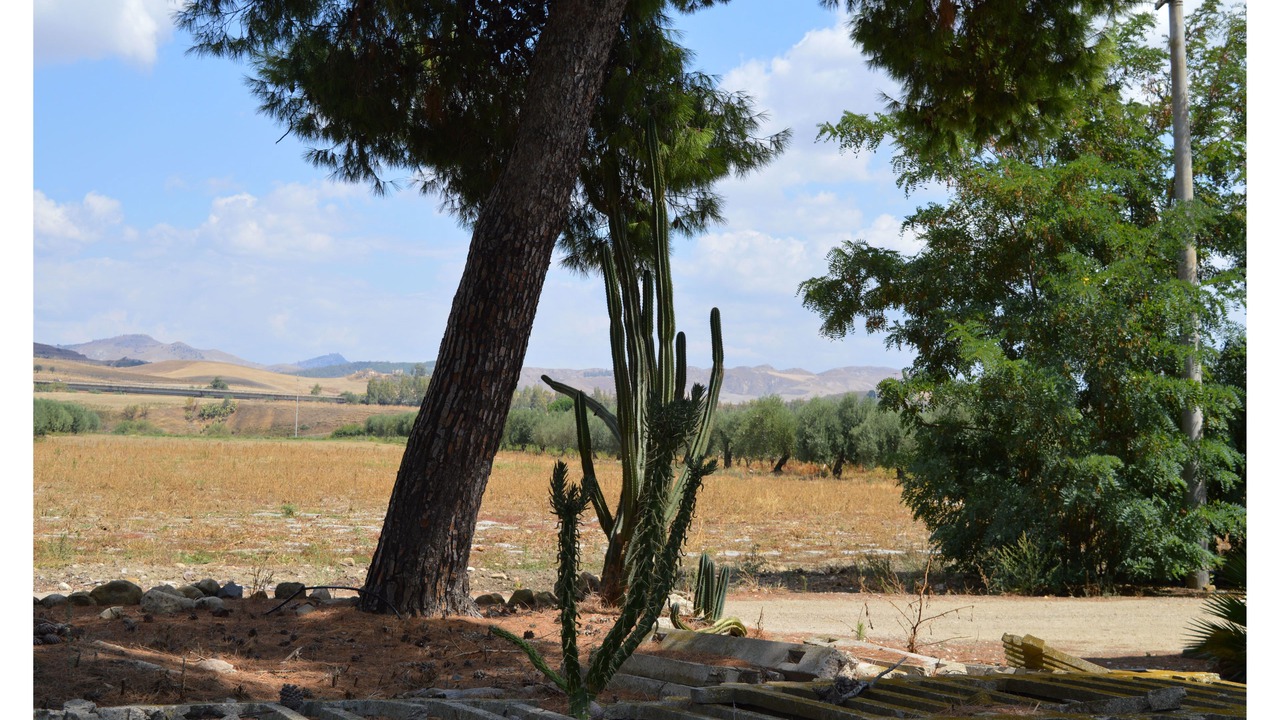 Photo of Others in Assoro