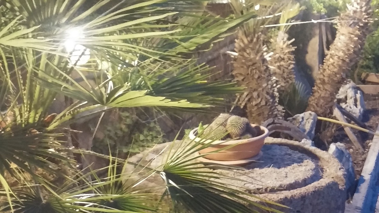 Photo of Outdoor in Sambuca di Sicilia