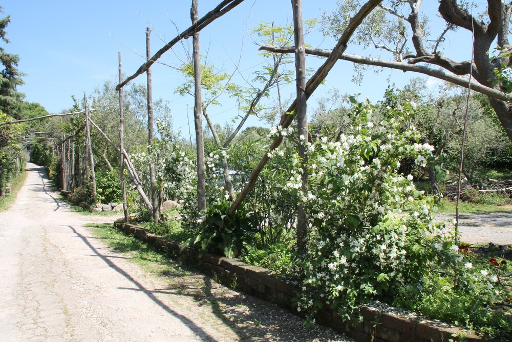 Photo of Outdoor in San Pietro