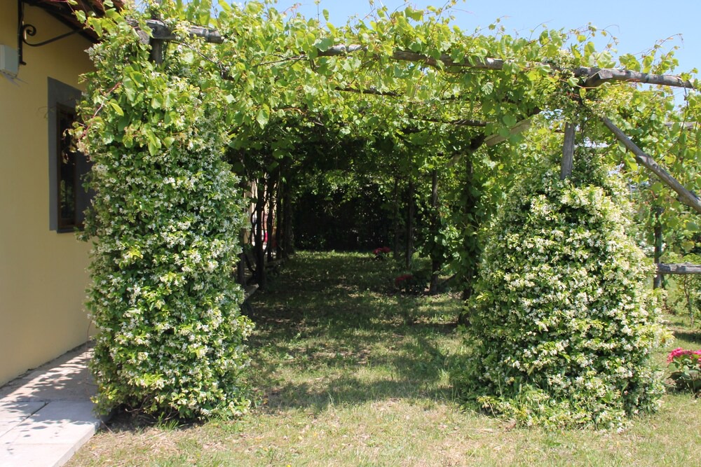 Photo of Outdoor in San Pietro