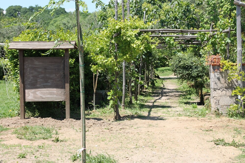 Photo of Outdoor in San Pietro