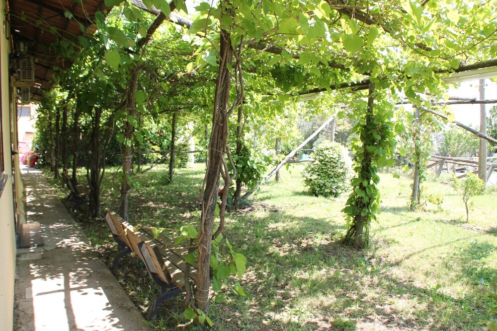 Photo of Outdoor in San Pietro