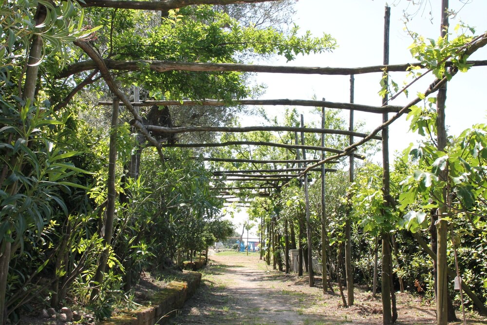 Photo of Outdoor in San Pietro