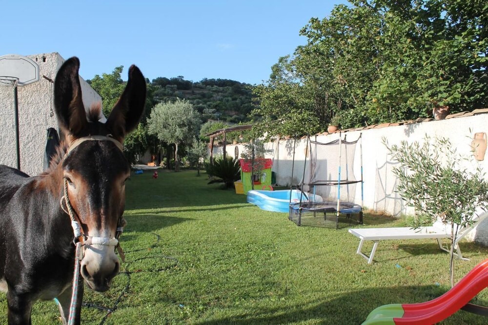 Photo of Others in Sant'Alessio Siculo