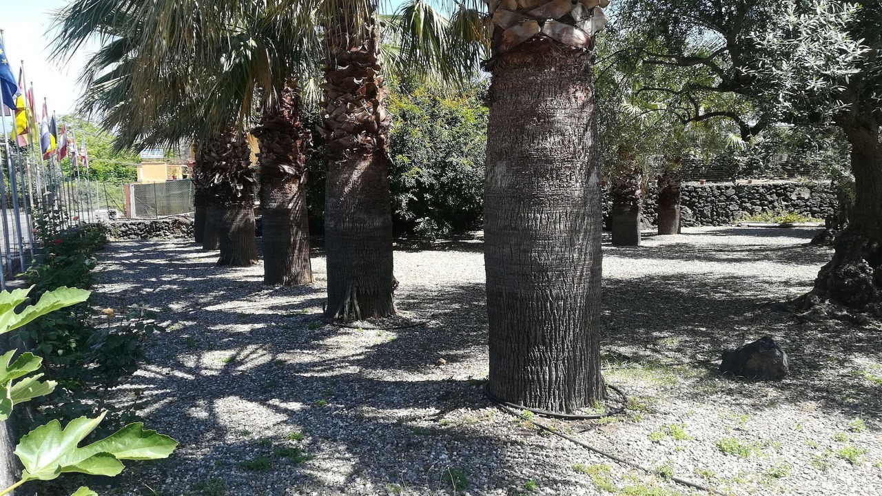 Photo of Outdoor in Santa Venerina