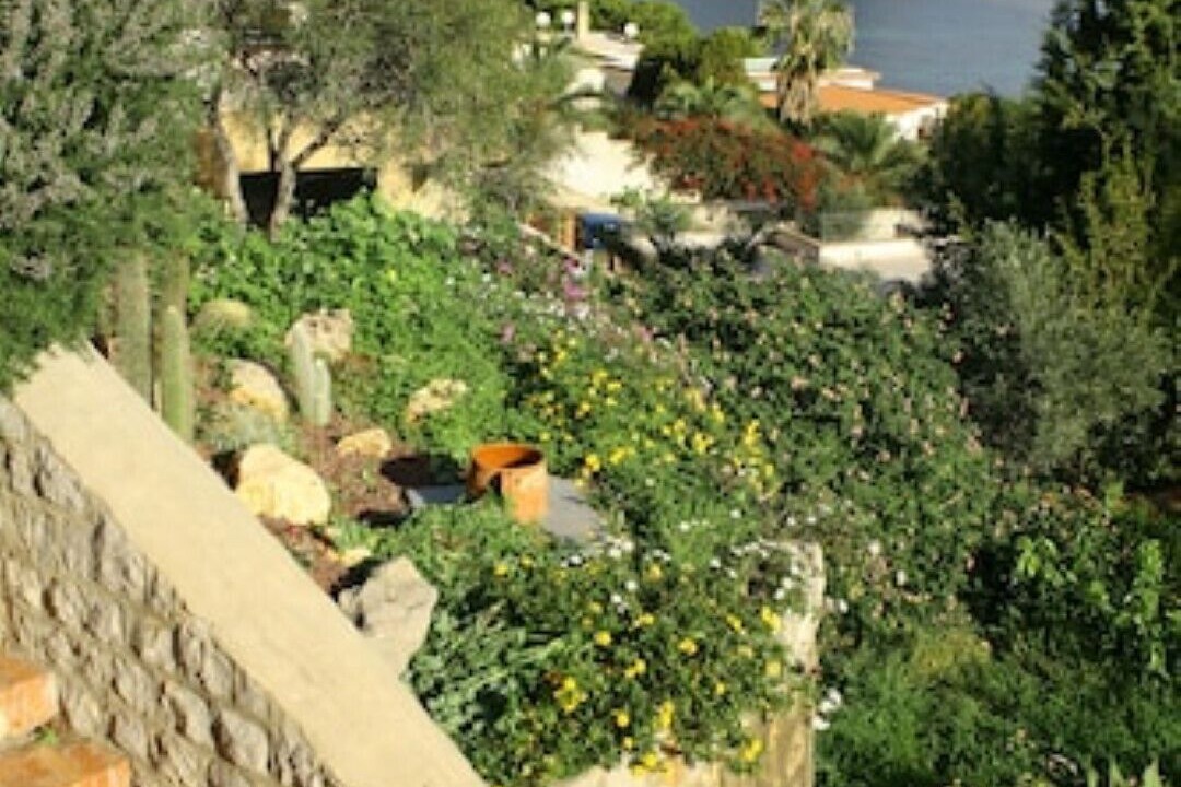 Photo of Outdoor in Porticello