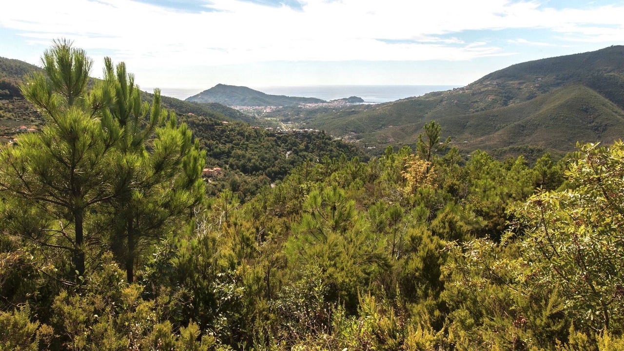 Photo of Others in Casarza Ligure