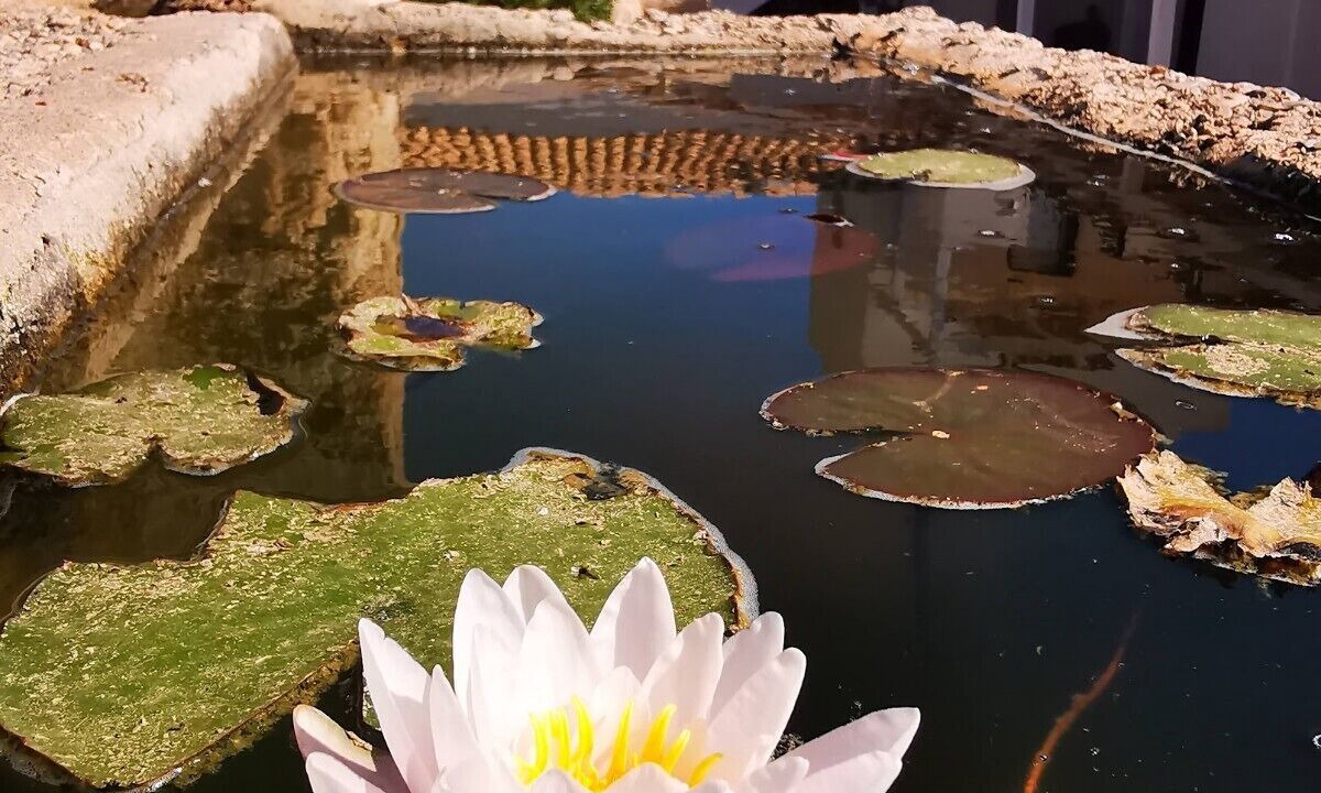Photo of Outdoor in Favignana