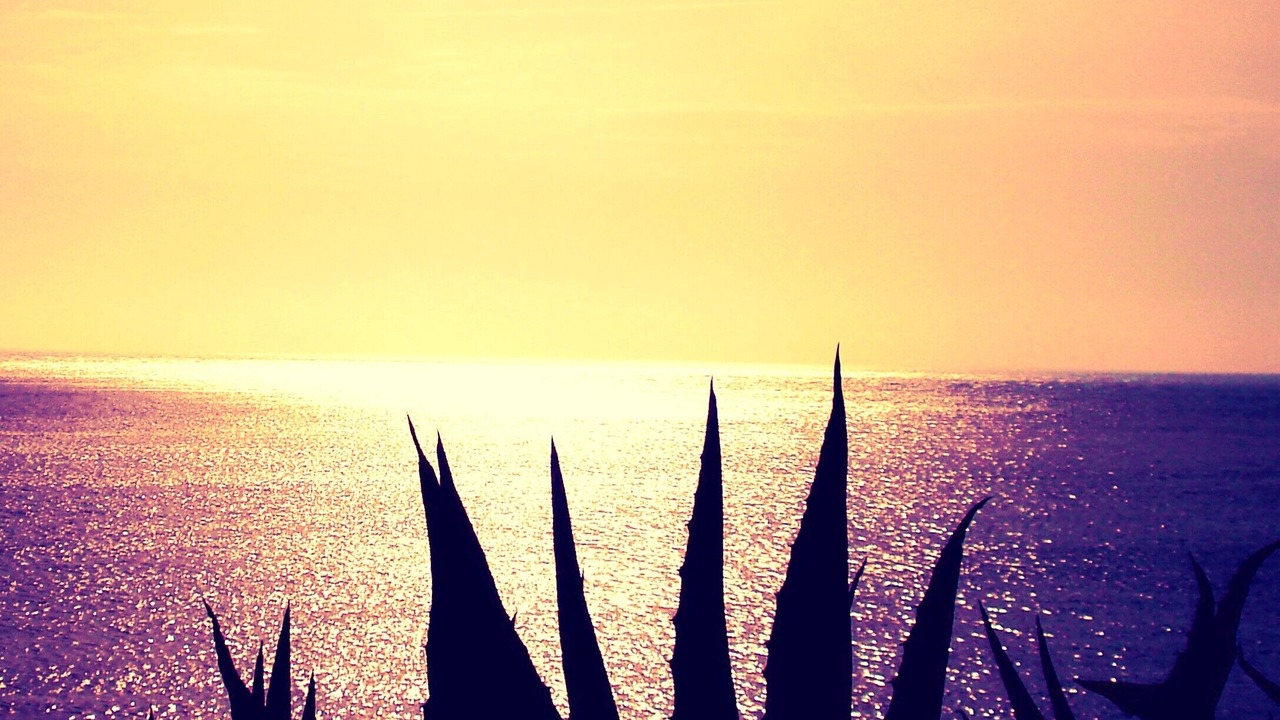 Photo of Others in San Vito Lo Capo