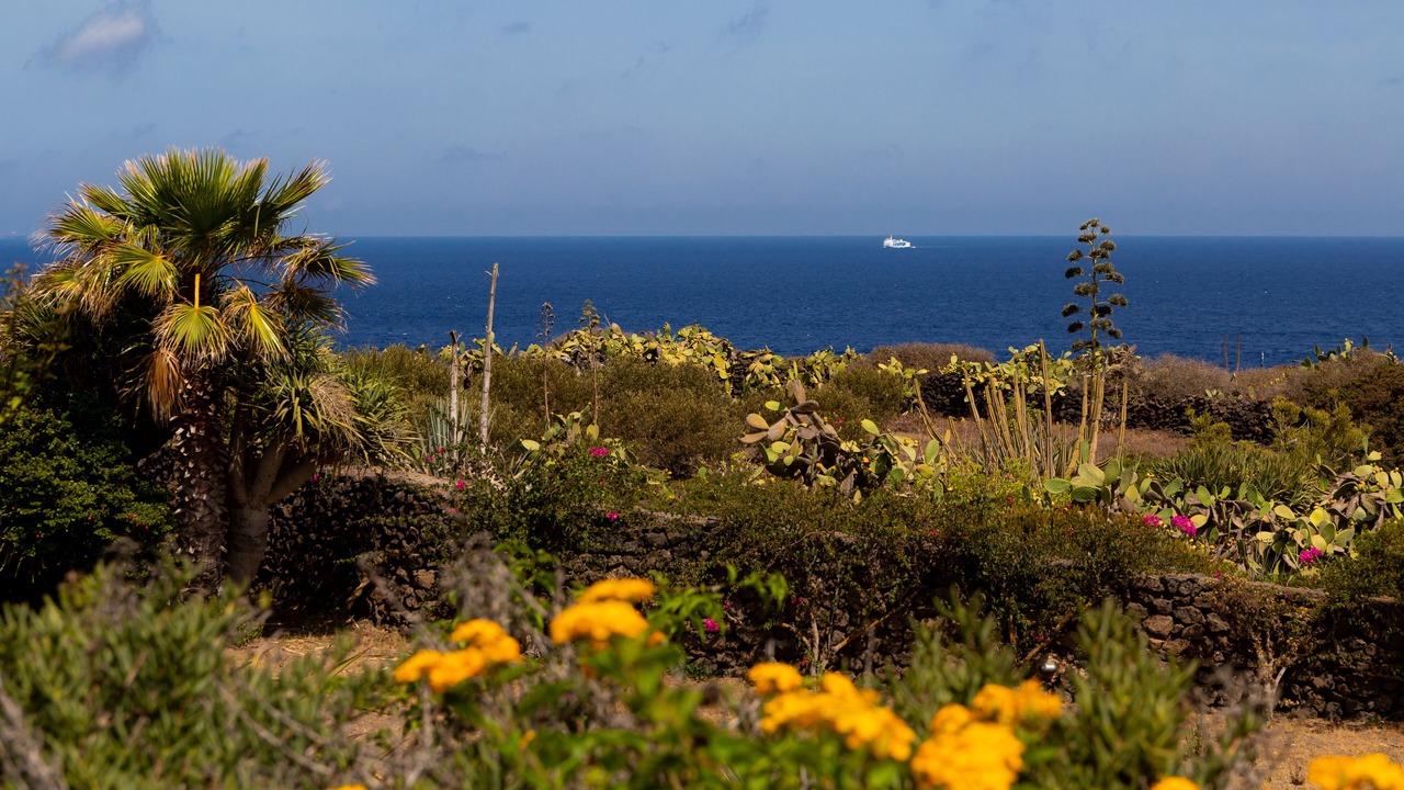 Photo of Outdoor in Pantelleria