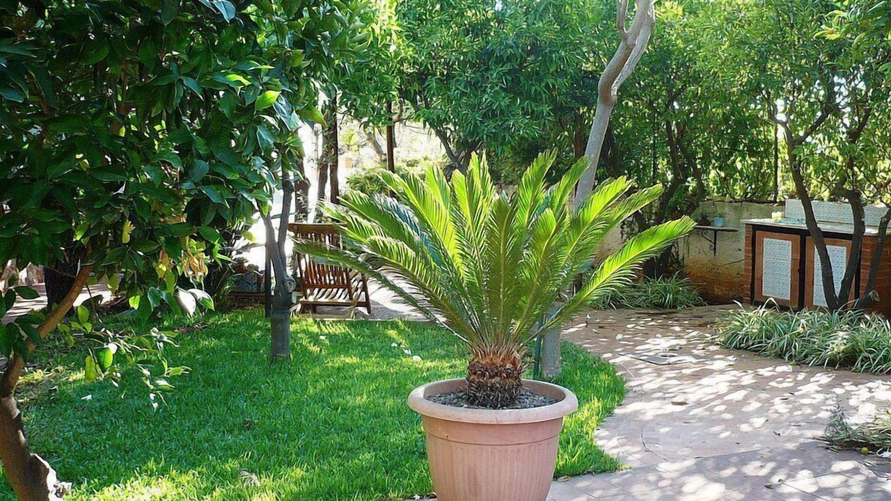 Photo of Outdoor in Mondello