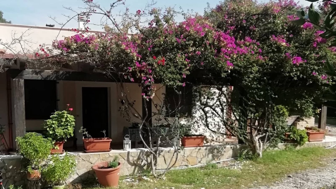 Photo of Outdoor in Rodi Garganico
