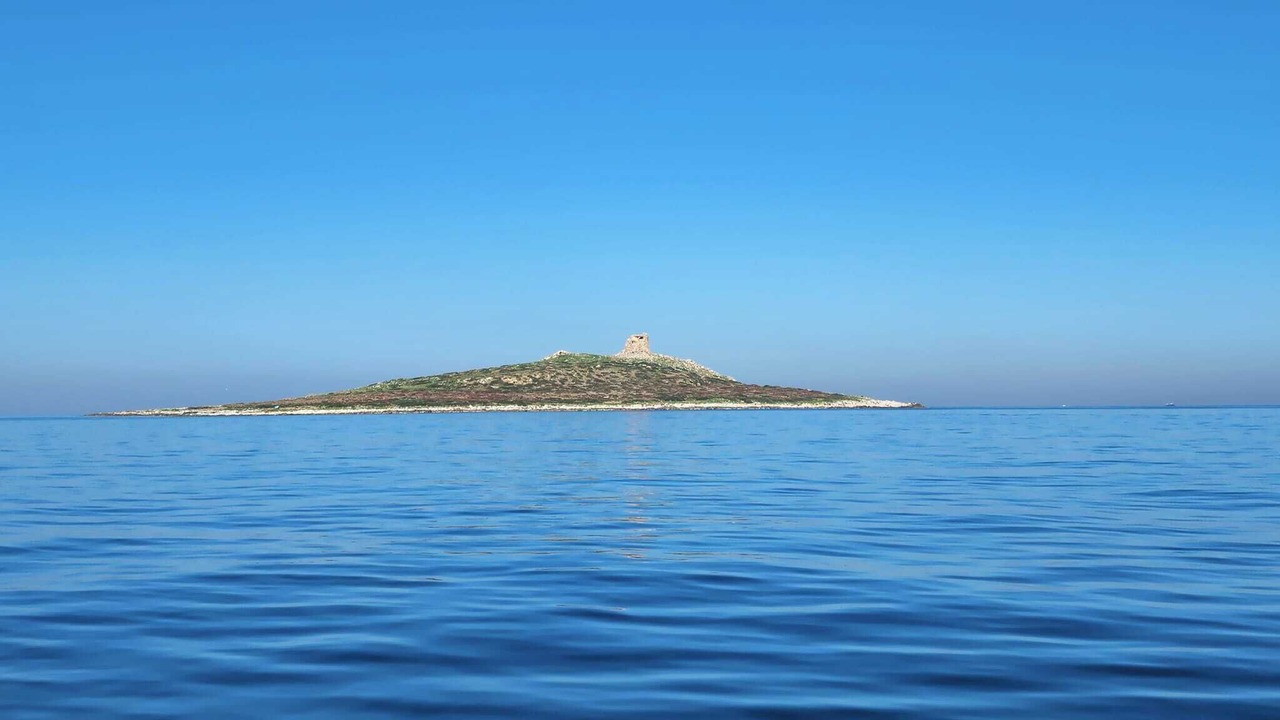 Photo of Others in Isola delle Femmine