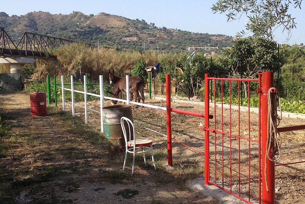 Photo of Others in Sant'Alessio Siculo