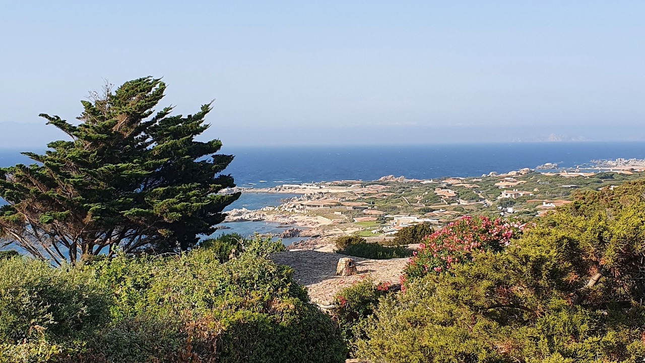 Photo of Others in Portobello di Gallura