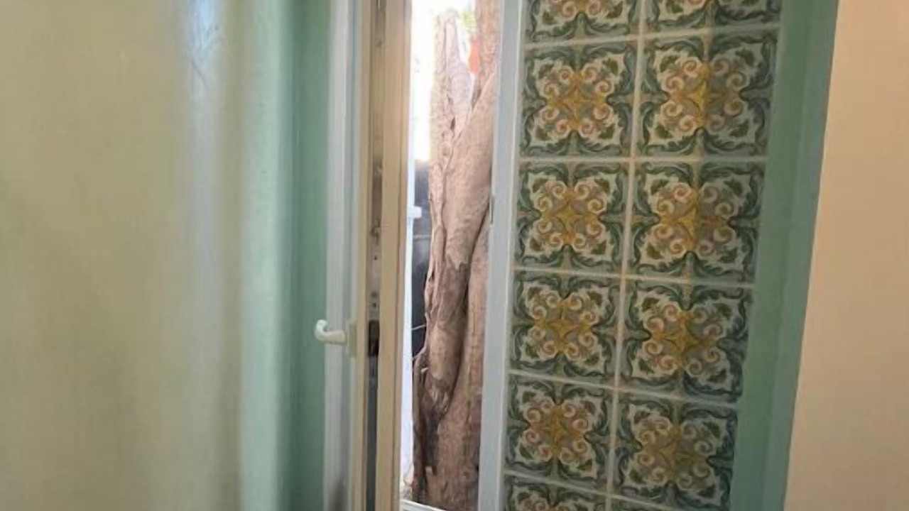 Photo of Bathroom in Lacco Ameno