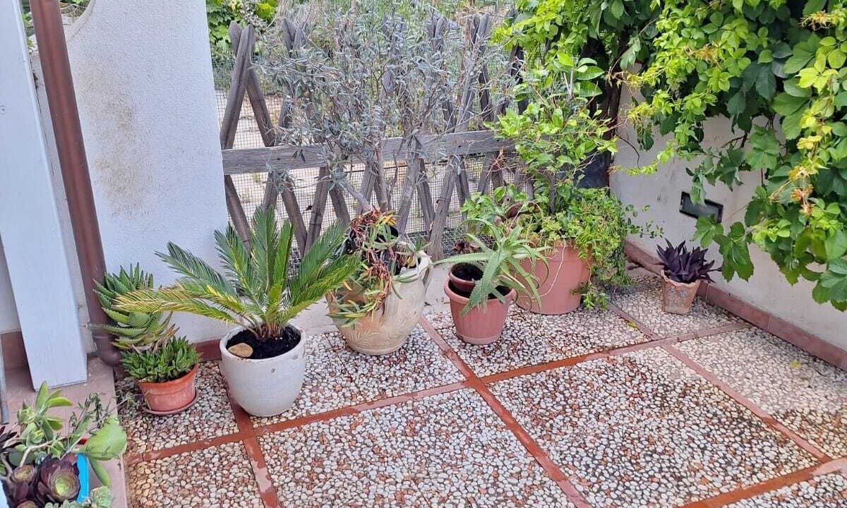 Photo of Outdoor in Marinella di Selinunte