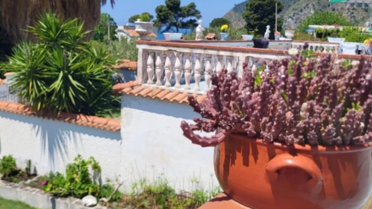 Photo of Outdoor in Coccorino