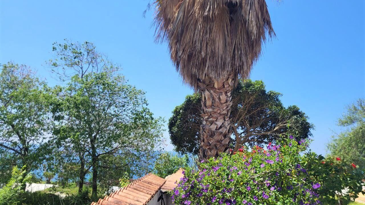 Photo of Outdoor in Coccorino