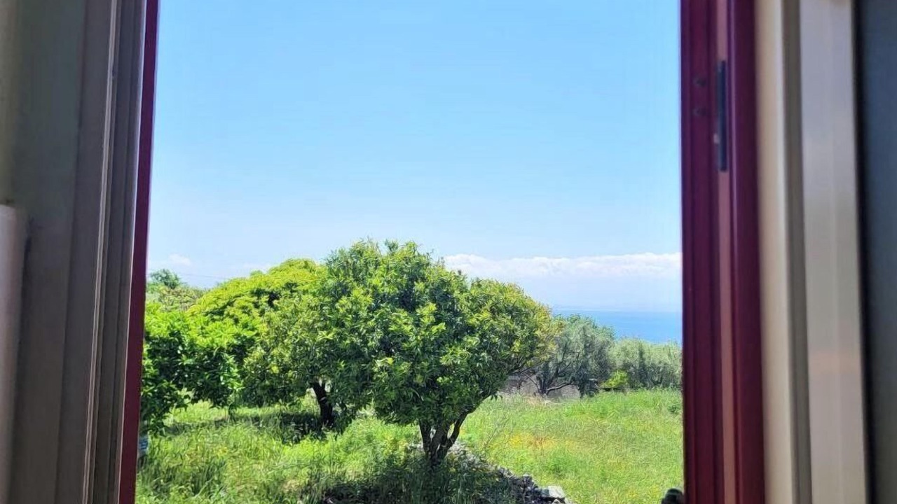 Photo of Others in Coccorino