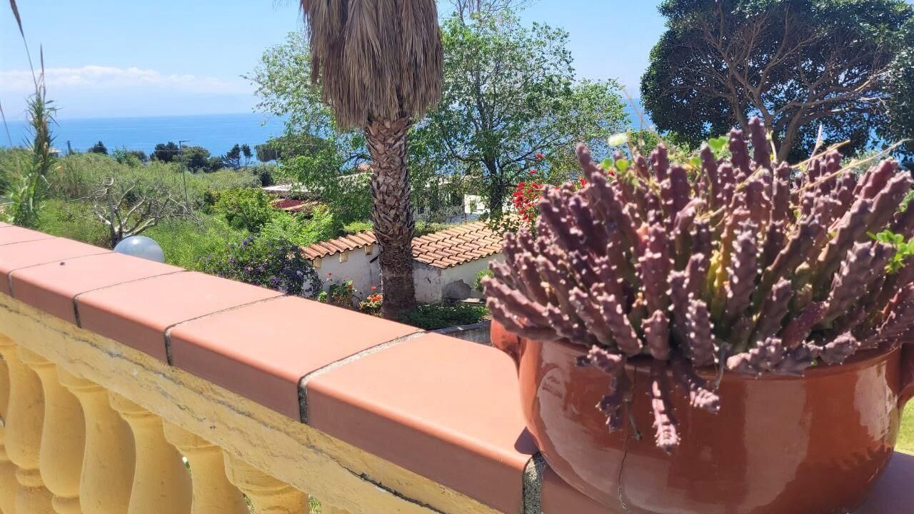 Photo of Outdoor in Coccorino