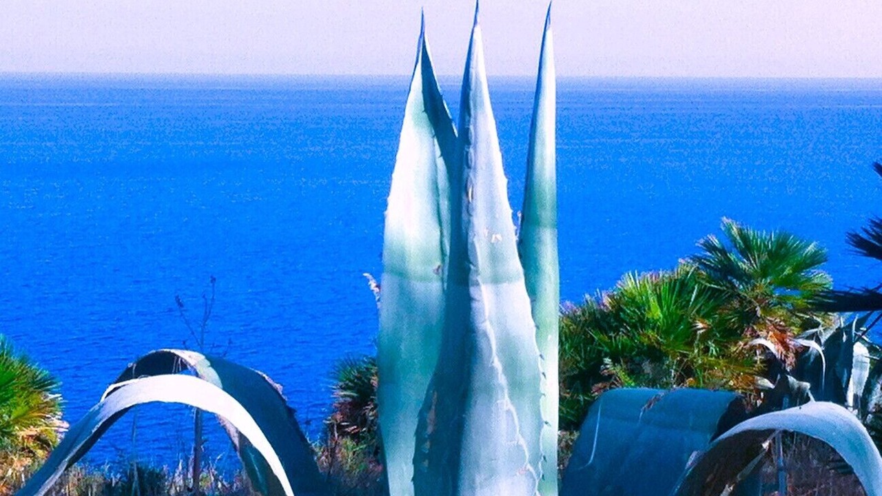 Photo of Others in San Vito Lo Capo