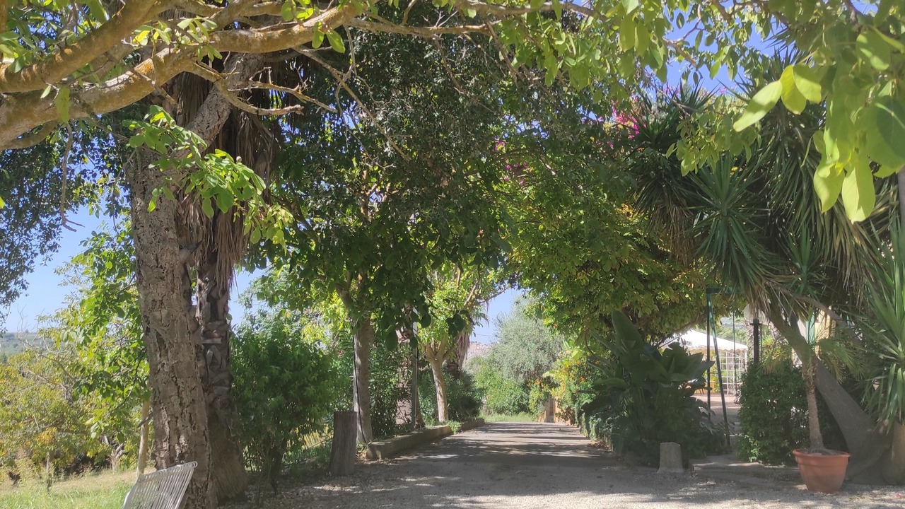 Photo of Outdoor in Pietraperzia