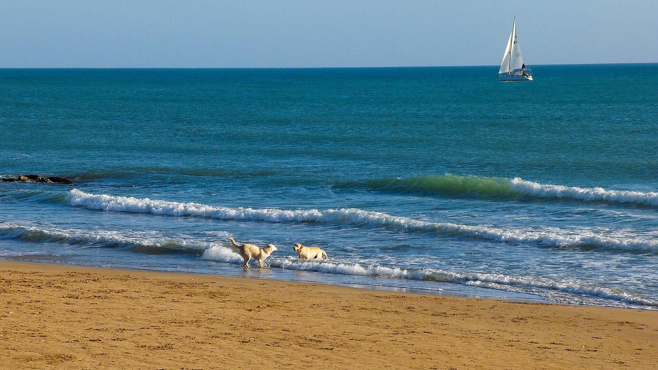 Photo of Others in Marina di Ragusa