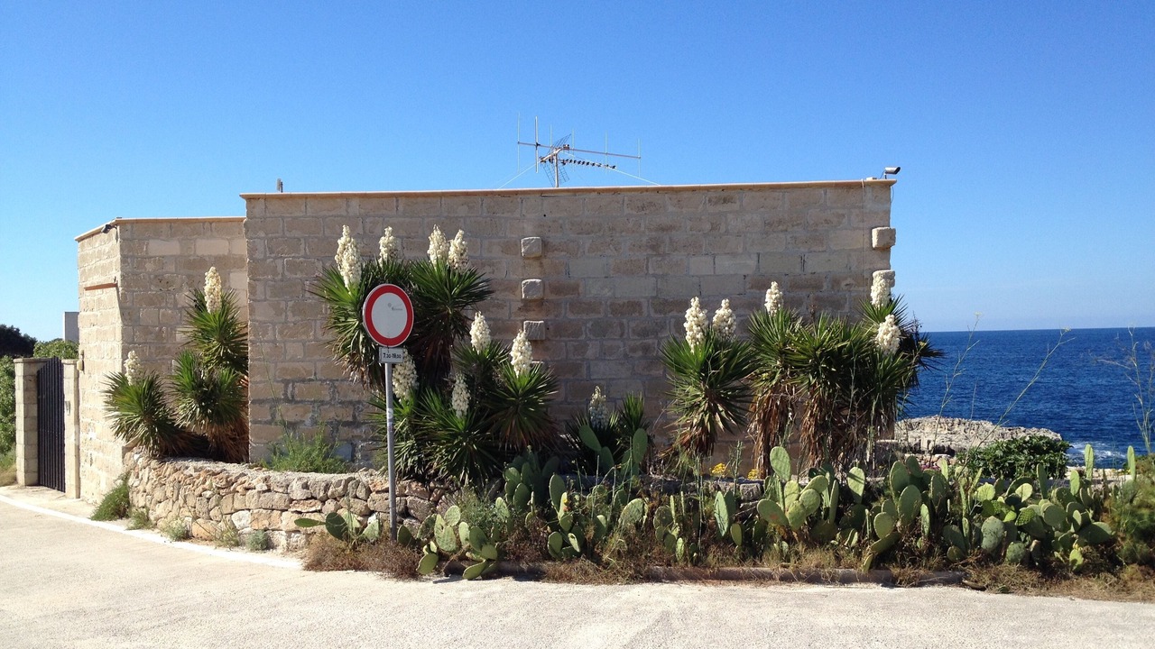 Photo of Outdoor in Favignana