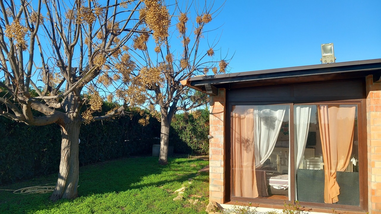 Photo of Outdoor in Arenella