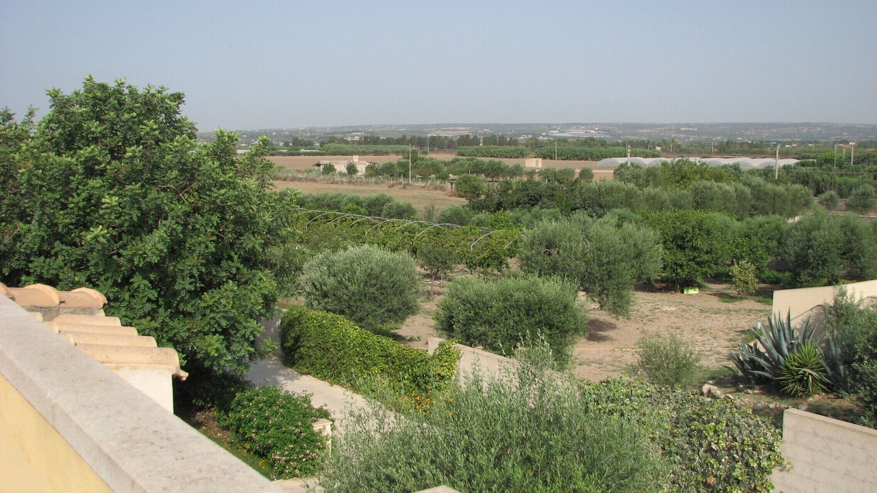 Photo of Outdoor in Santa Maria del Focallo