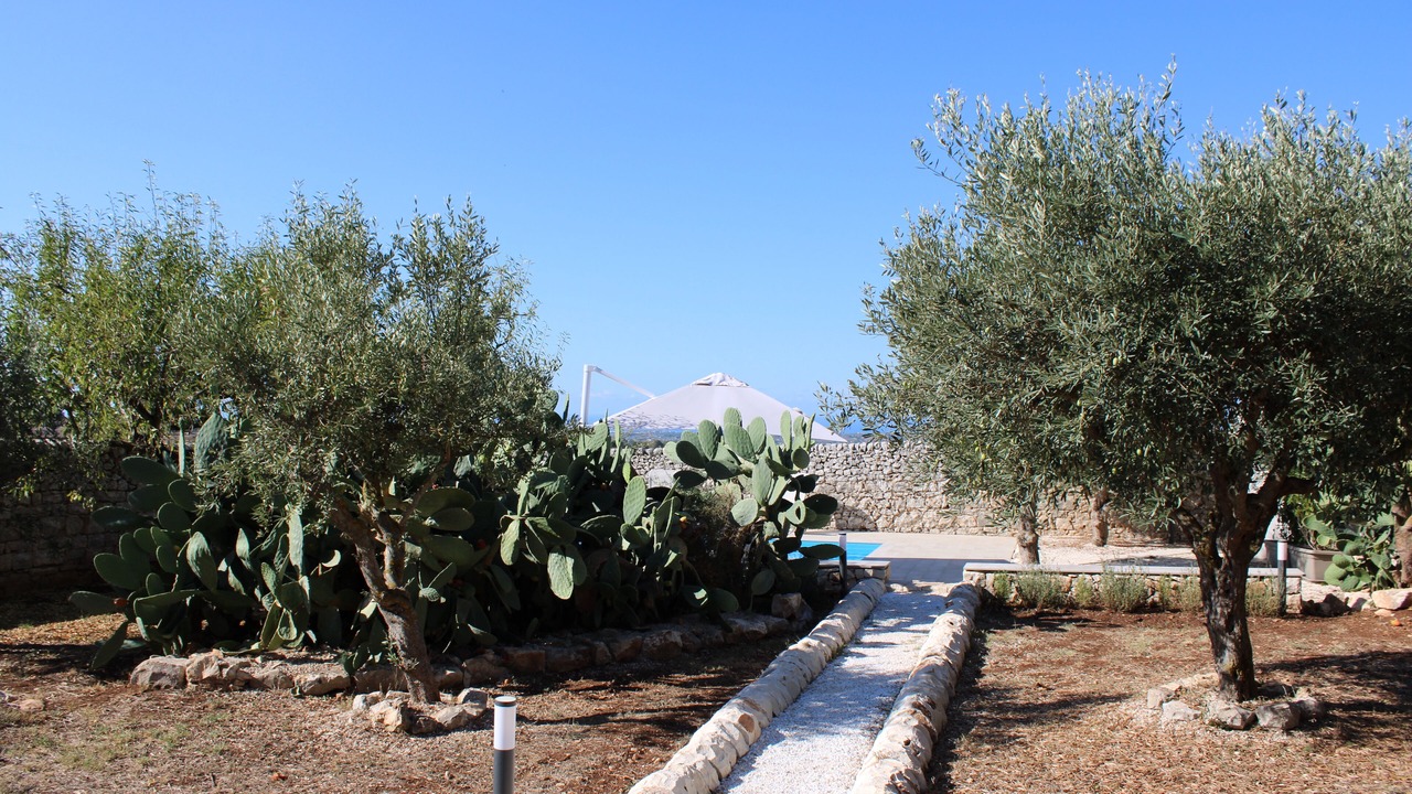 Photo of Outdoor in Casa Papa