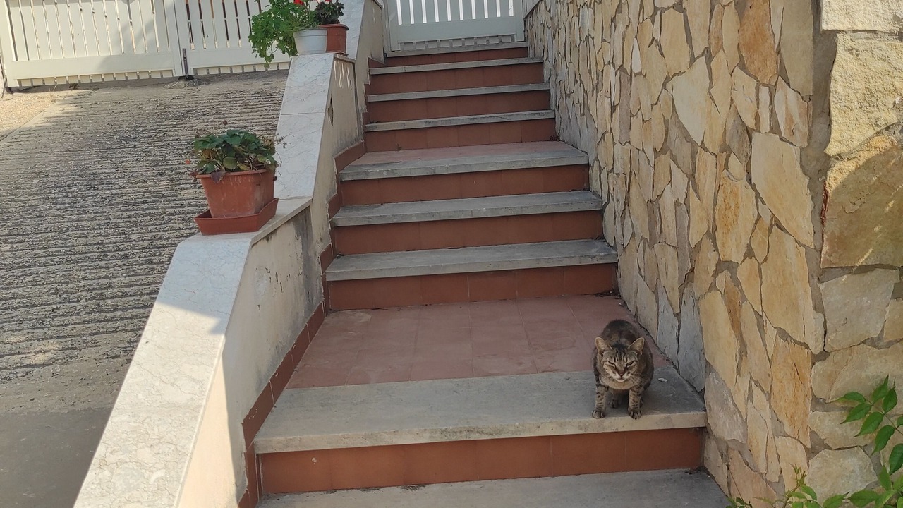 Photo of Outdoor in Marina di Ragusa