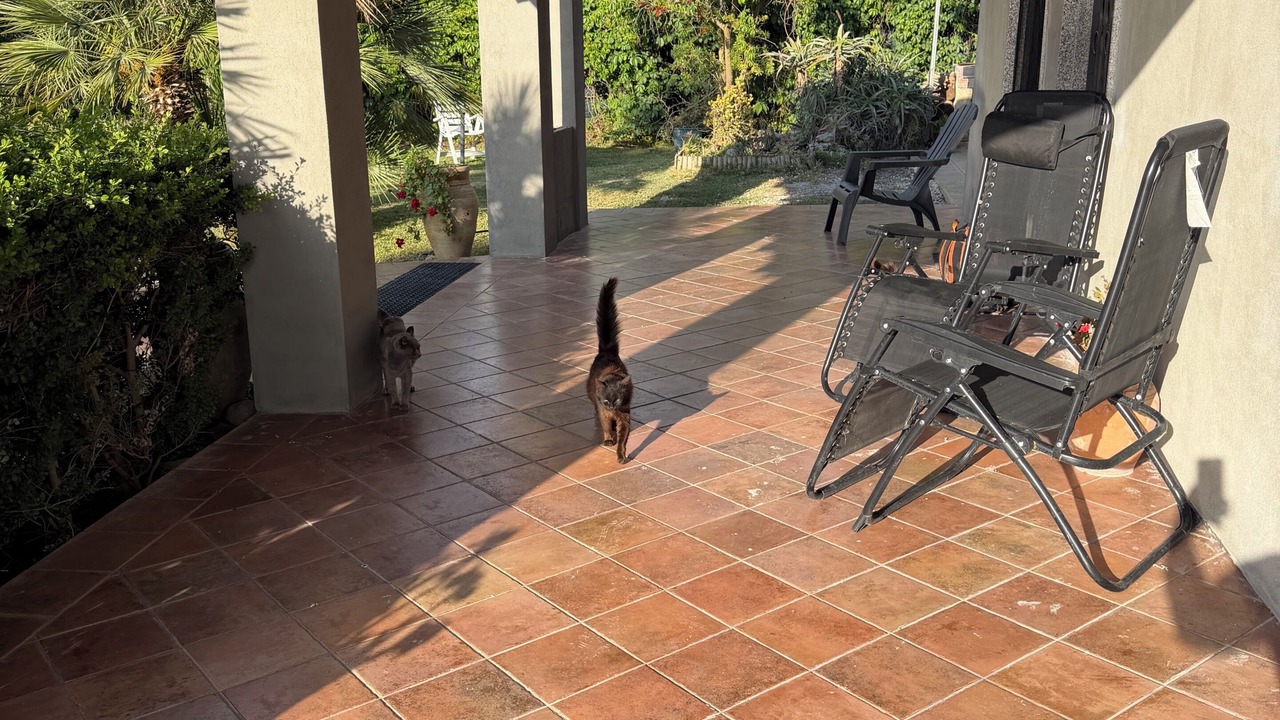 Photo of Patio Balcony in Carlentini