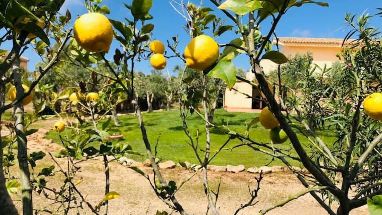 Photo of Outdoor in Marsala